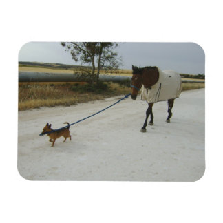 Magnet Flexible En-tête pour la maison