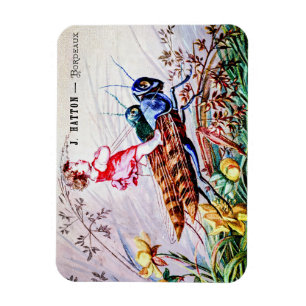 Magnet Flexible Enfants Riding Grasshoppers