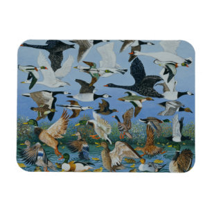 Magnet Flexible Enlèvement de 1996