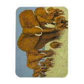 Magnet Flexible Énorme mais attentionnée (Vertical)