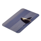 Magnet Flexible Épaulard émergeant (Orque orcinus) près (Côté Gauche)