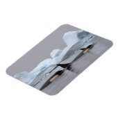 Magnet Flexible épaulards (orques), Orcinus orca, groupe (Côté Gauche)