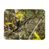 Magnet Flexible Épervier De Grasshopper Dans L'Aimant Soleil (Horizontal)