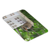 Magnet Flexible Épervier mâle dans l'aimant d'été (Côté Droit)