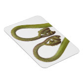 Magnet Flexible Épouses de fougères 2 (Côté Droit)