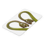 Magnet Flexible Épouses de fougères 2 (Côté Gauche)