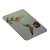 Magnet Flexible Equateur, Tandayapa Bird Lodge. À queue rousse (Côté Droit)