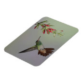 Magnet Flexible Equateur, Tandayapa Bird Lodge. À queue rousse (Côté Gauche)