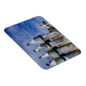 Magnet Flexible Espagne, Catalogne, Barcelone. Casa Batllo (1906). (Côté Droit)