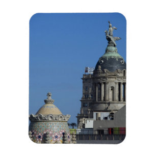 Magnet Flexible Espagne, Catalogne, Barcelone. Toit de Barcelone 2