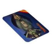 Magnet Flexible Espagne - Valence - (Côté Droit)