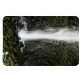 Magnet Flexible Esprit du bassin (Horizontal)