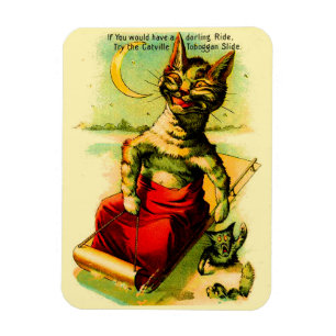 Magnet Flexible Essayez la diapositive Toboggan de Catville