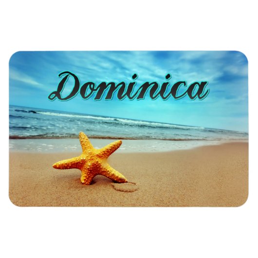 Magnet Flexible Estarfish de Dominique (Horizontal)