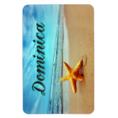 Magnet Flexible Estarfish de Dominique (Vertical)
