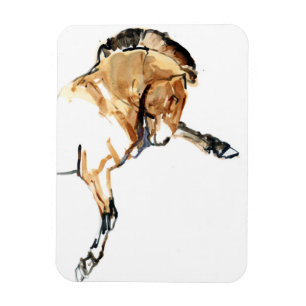 Magnet Flexible Étalon