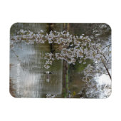 Magnet Flexible Étang au RHS Wisley, Angleterre (Horizontal)