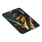 Magnet Flexible Etang de poisson asiatique Koi orange et blanc (Côté Droit)