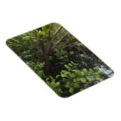 Magnet Flexible Etang de sel tropical (Côté Droit)