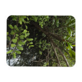 Magnet Flexible Etang de sel tropical (Horizontal)