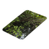 Magnet Flexible Etang de sel tropical (Côté Gauche)