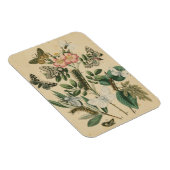 Magnet Flexible Étapes de la vie des papillons par Vision Studio (Côté Droit)