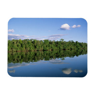 Magnet Flexible Etat du Mato Grosso, Amazon, Brésil. Forestier