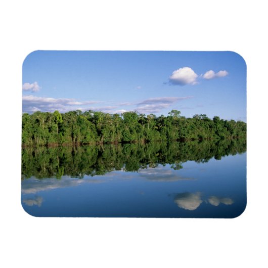 Magnet Flexible Etat du Mato Grosso, Amazon, Brésil. Forestier (Horizontal)