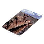 Magnet Flexible États-Unis, Arizona, Parc National de la Forêt Pet (Côté Gauche)