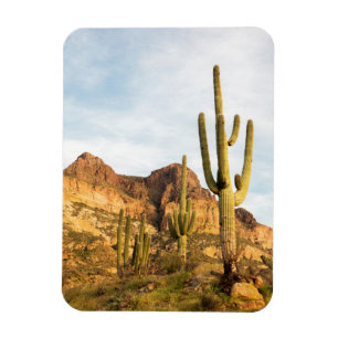 Magnet Flexible États-Unis, Arizona, Tonto National Forest, Picket