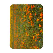 Magnet Flexible États-Unis, Californie, Antelope Valley California (Vertical)