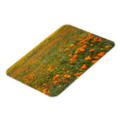 Magnet Flexible États-Unis, Californie, Antelope Valley California (Côté Gauche)