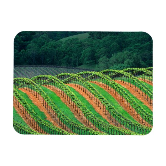 Magnet Flexible États-Unis, Californie, comté de Mendocino, un (Horizontal)