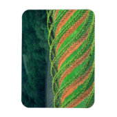 Magnet Flexible États-Unis, Californie, comté de Mendocino, un (Vertical)