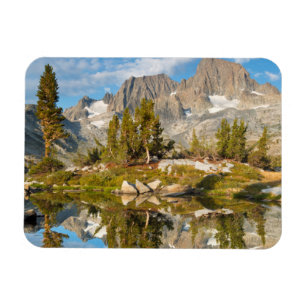 Magnet Flexible États-Unis, Californie, Forêt nationale d'Inyo 13