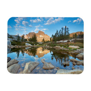 Magnet Flexible États-Unis, Californie, forêt nationale d'Inyo. 2