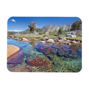 Magnet Flexible États-Unis, Californie, Forêt nationale d'Inyo 4