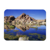 Magnet Flexible États-Unis, Californie, Parc national de Joshua Tr (Horizontal)