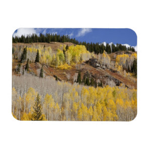 Magnet Flexible États-Unis, Colorado, Forêt nationale de Gunnison,