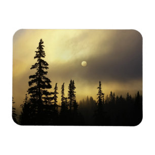 Magnet Flexible États-Unis, Colorado, forêt nationale de San Isabe