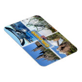 Magnet Flexible États-Unis - États-Unis d'Amérique - Orlando - Flo (Côté Droit)