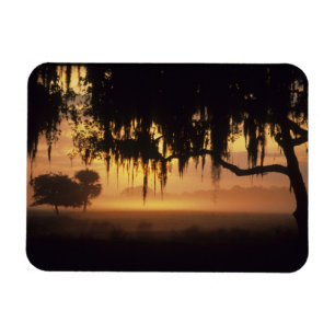 Magnet Flexible États-Unis, Floride, lac Kissimmee. Silhouette au
