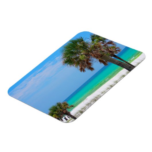 Magnet Flexible États-Unis, Floride. Palmiers Sur La Côte D'Émerau (Côté Gauche)