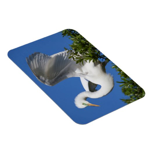 Magnet Flexible États-Unis, Floride, Saint-Augustine, Egret (Côté Droit)