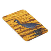 Magnet Flexible États-Unis, Floride, Saint-Pétersbourg, Fort De So (Côté Droit)