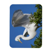 Magnet Flexible États-Unis, Floride, St. Augustine, Aigrette (Vertical)