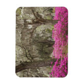 Magnet Flexible Etats-Unis, Géorgie, Savannah, Printemps de l'hist (Vertical)