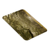 Magnet Flexible Etats-Unis, Géorgie, Savannah, Une conduite en chê (Côté Droit)