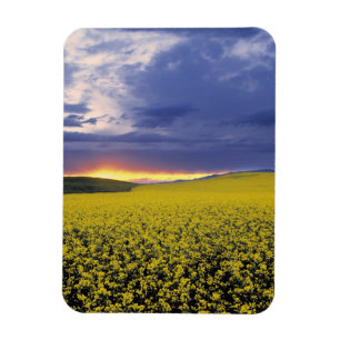 Magnet Flexible États-Unis, Idaho, vallée du Swan. Un coucher de