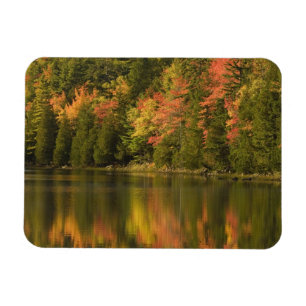 Magnet Flexible États-Unis; Maine; Parc national d'Acadia. Reflets